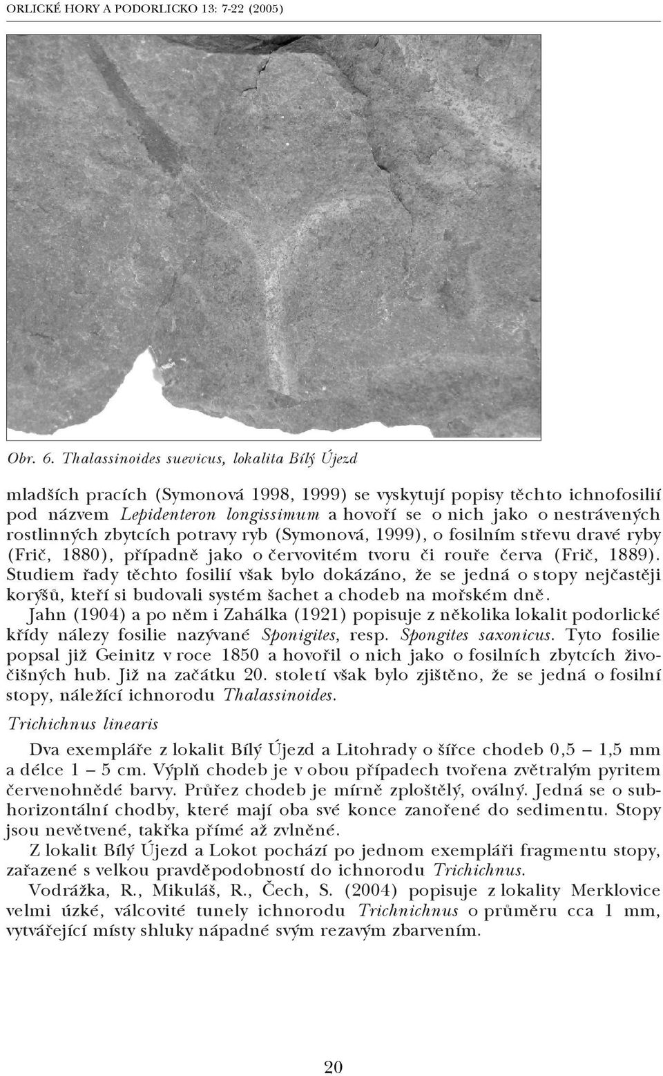 rostlinných zbytcích potravy ryb (Symonová, 1999), o fosilním střevu dravé ryby (Frič, 1880), případně jako o červovitém tvoru či rouře červa (Frič, 1889).