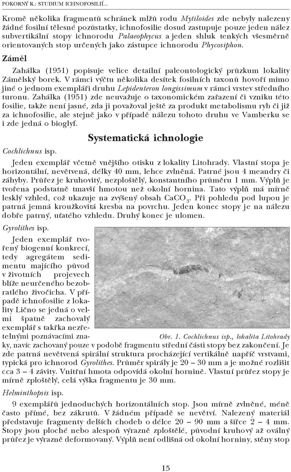 Palaeophycus a jeden shluk tenkých všesměrně orientovaných stop určených jako zástupce ichnorodu Phycosiphon.