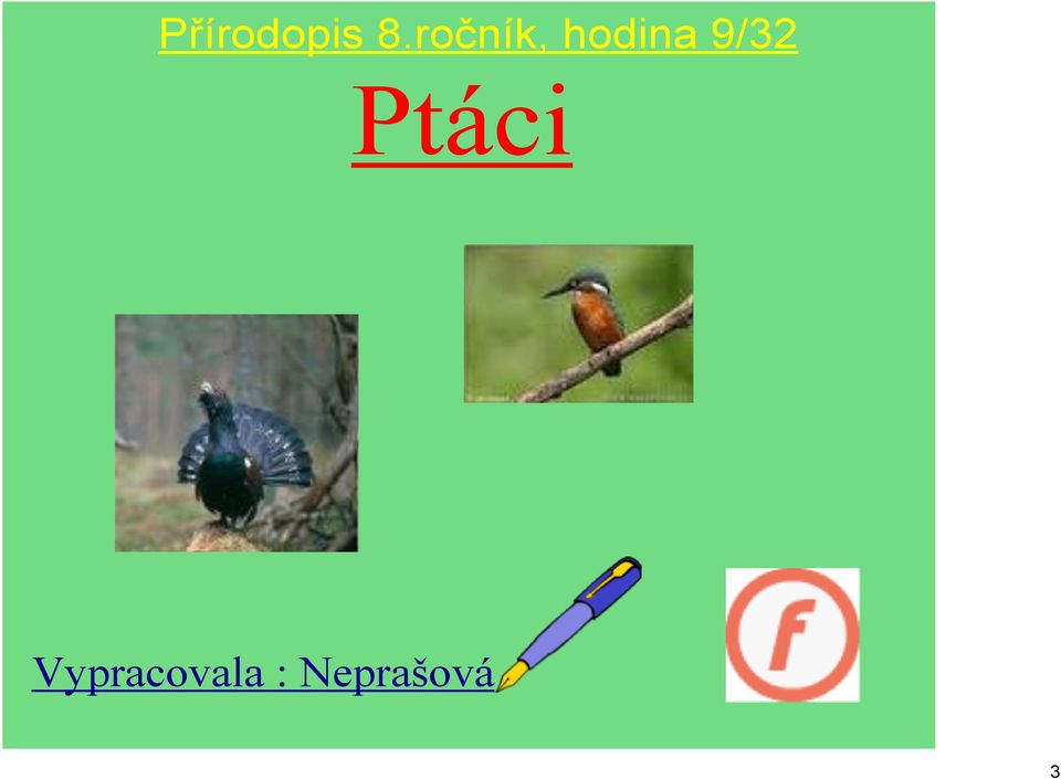 9/32 Ptáci