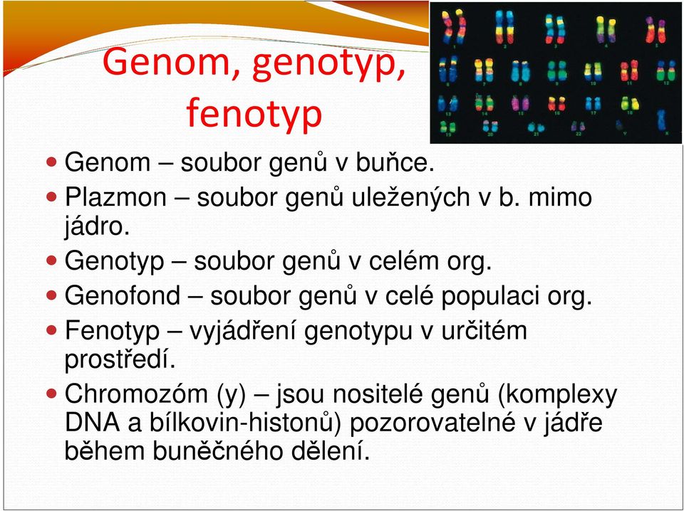 Genofond soubor genů v celé populaci org.
