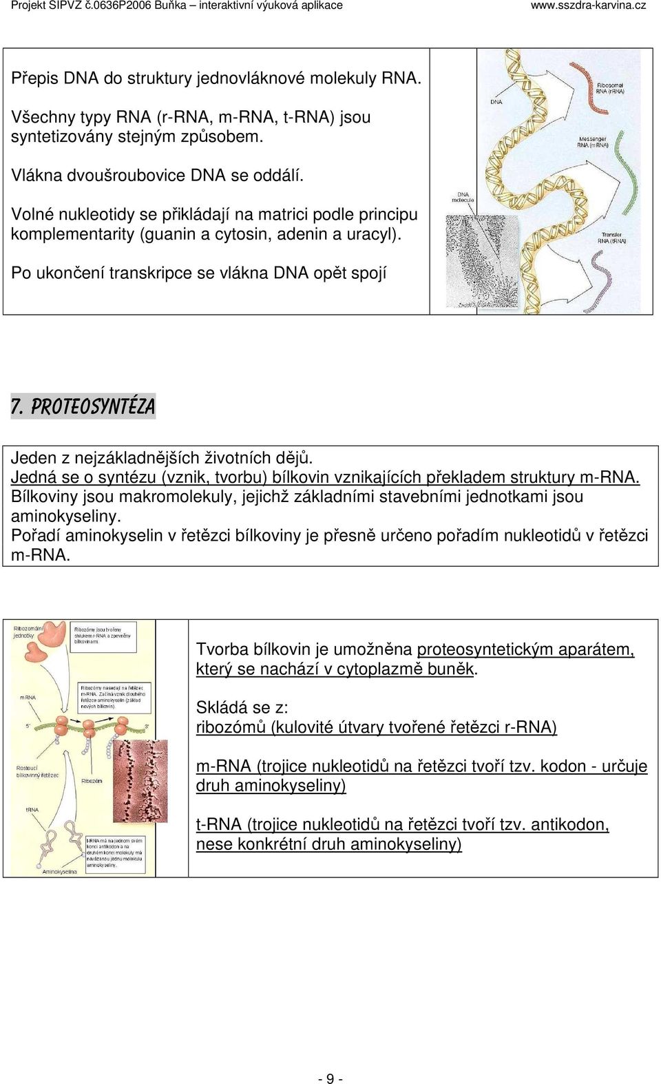 Proteosyntéza Jeden z nejzákladnějších životních dějů. Jedná se o syntézu (vznik, tvorbu) bílkovin vznikajících překladem struktury m-rna.