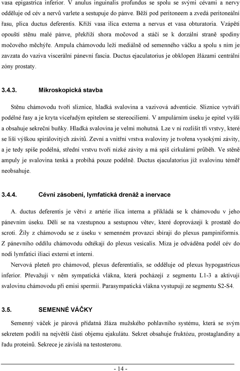 Vzápětí opouští stěnu malé pánve, překříží shora močovod a stáčí se k dorzální straně spodiny močového měchýře.