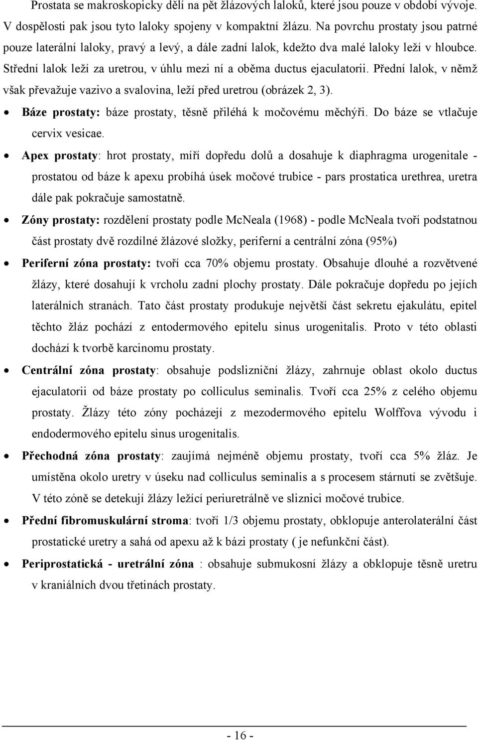 Střední lalok leží za uretrou, v úhlu mezi ní a oběma ductus ejaculatorii. Přední lalok, v němž však převažuje vazivo a svalovina, leží před uretrou (obrázek 2, 3).
