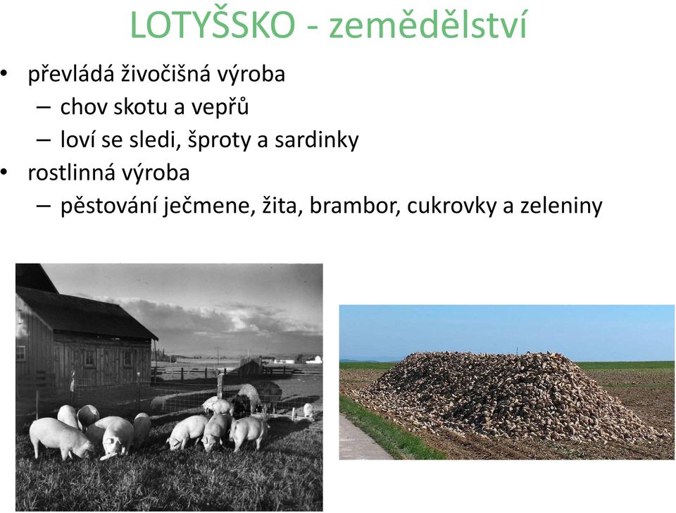 šproty a sardinky rostlinná výroba