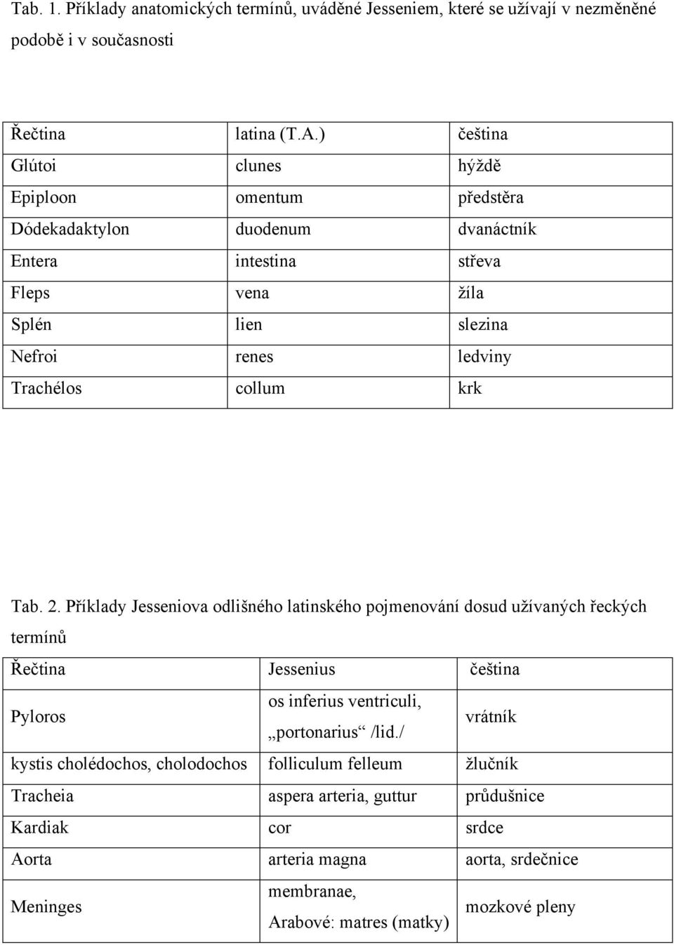 Trachélos collum krk Tab. 2.