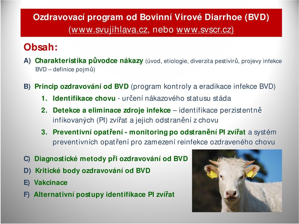 infekce BVD) 1. Identifikace chovu -určení nákazového statusu stáda 2.