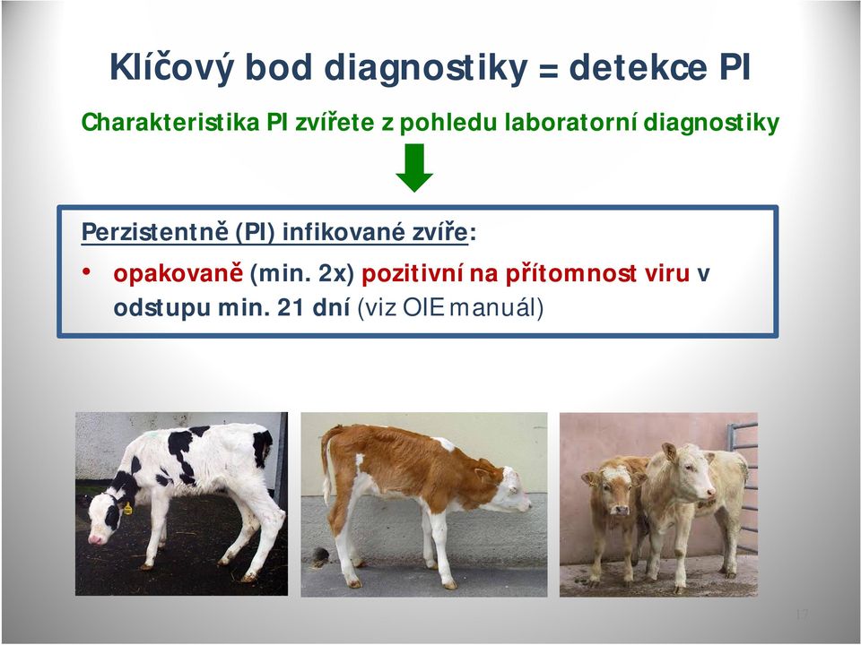 (PI) infikované zvíře: opakovaně (min.