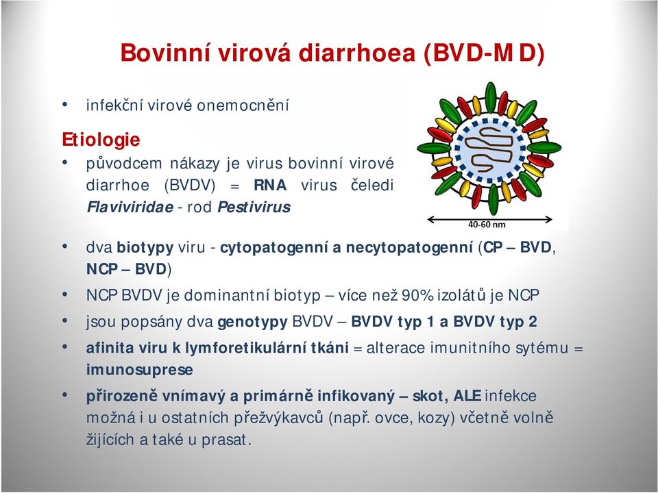 izolátů je NCP jsou popsány dva genotypy BVDV BVDV typ 1 a BVDV typ 2 afinita viru k lymforetikulární tkáni = alterace imunitního sytému =