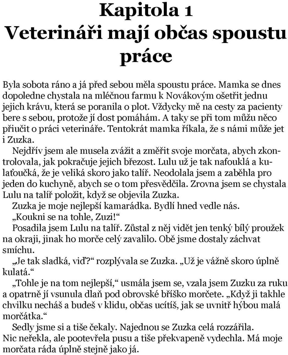 A taky se při tom můžu něco přiučit o práci veterináře. Tentokrát mamka říkala, že s námi může jet i Zuzka.