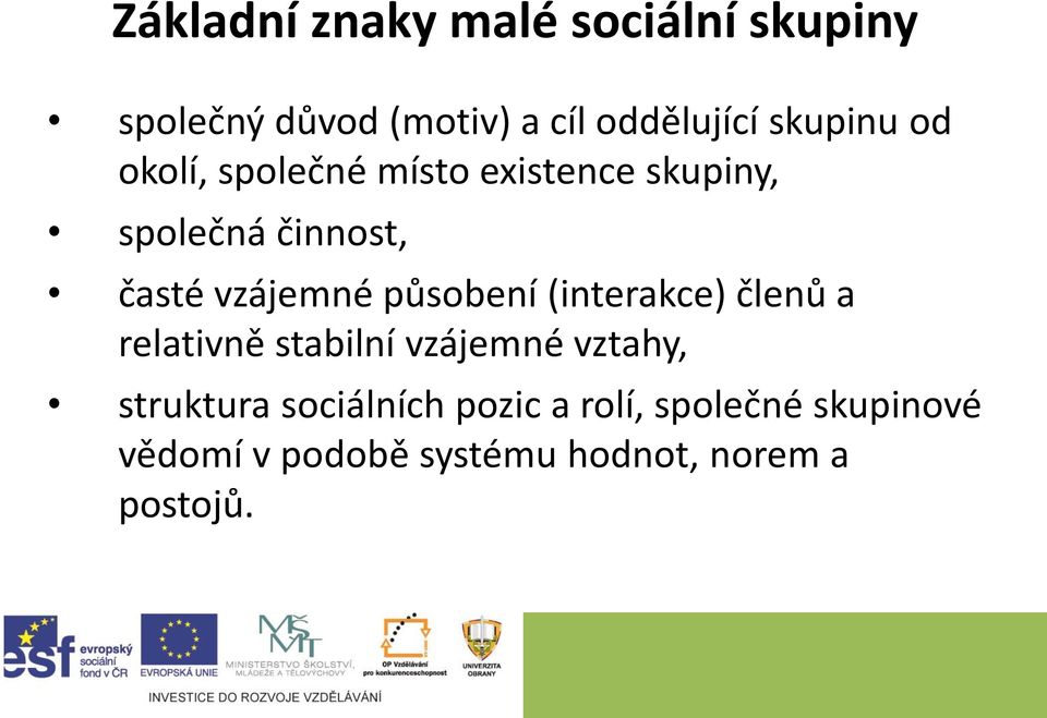 vzájemné působení (interakce) členů a relativně stabilní vzájemné vztahy,