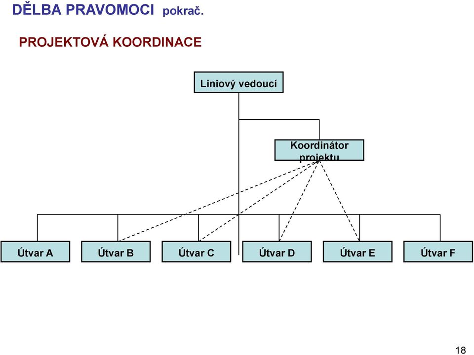 vedoucí Koordinátor projektu