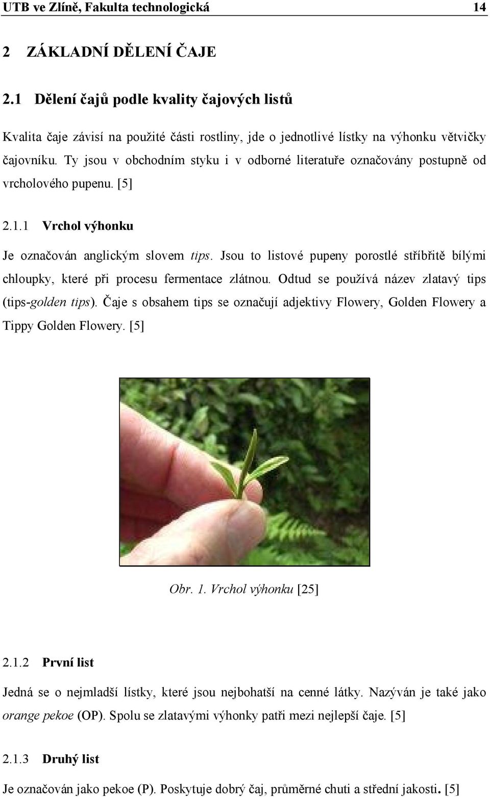 Ty jsou v obchodním styku i v odborné literatuře označovány postupně od vrcholového pupenu. [5] 2.1.1 Vrchol výhonku Je označován anglickým slovem tips.