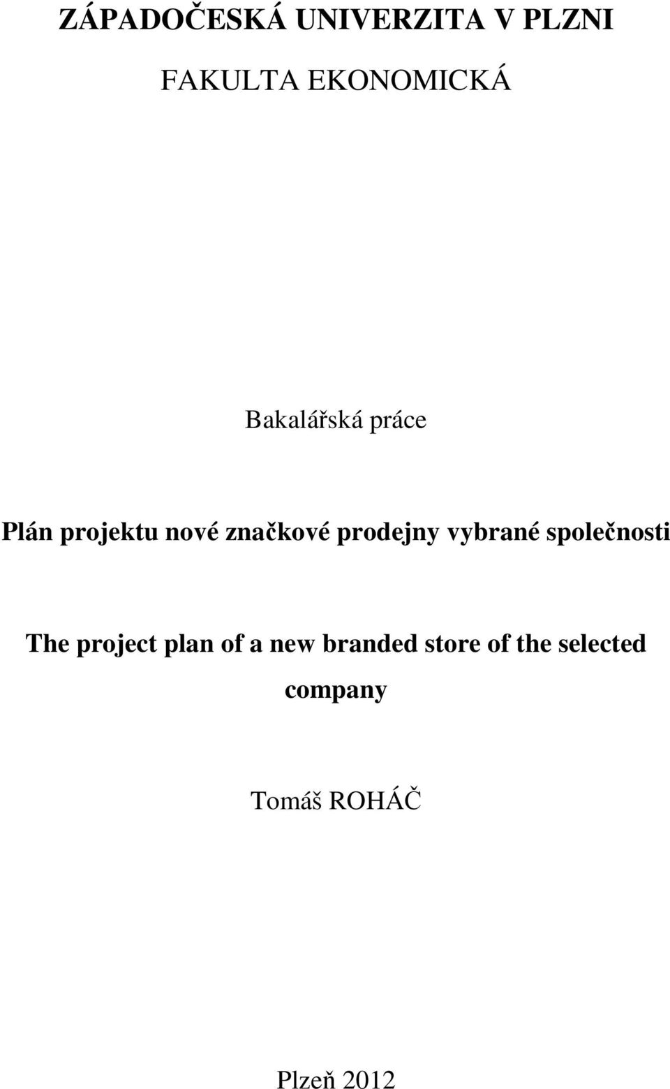 prodejny vybrané společnosti The project plan of a