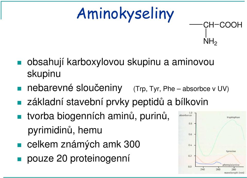 základní stavební prvky peptidů a bílkovin tvorba biogenních