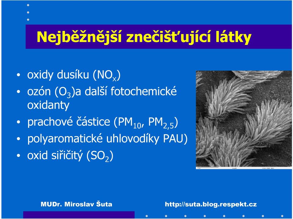 oxidanty prachové částice (PM 10, PM 2,5 )