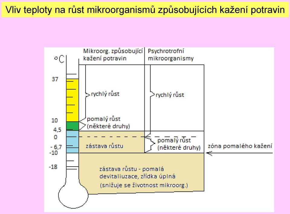 mikroorganismů