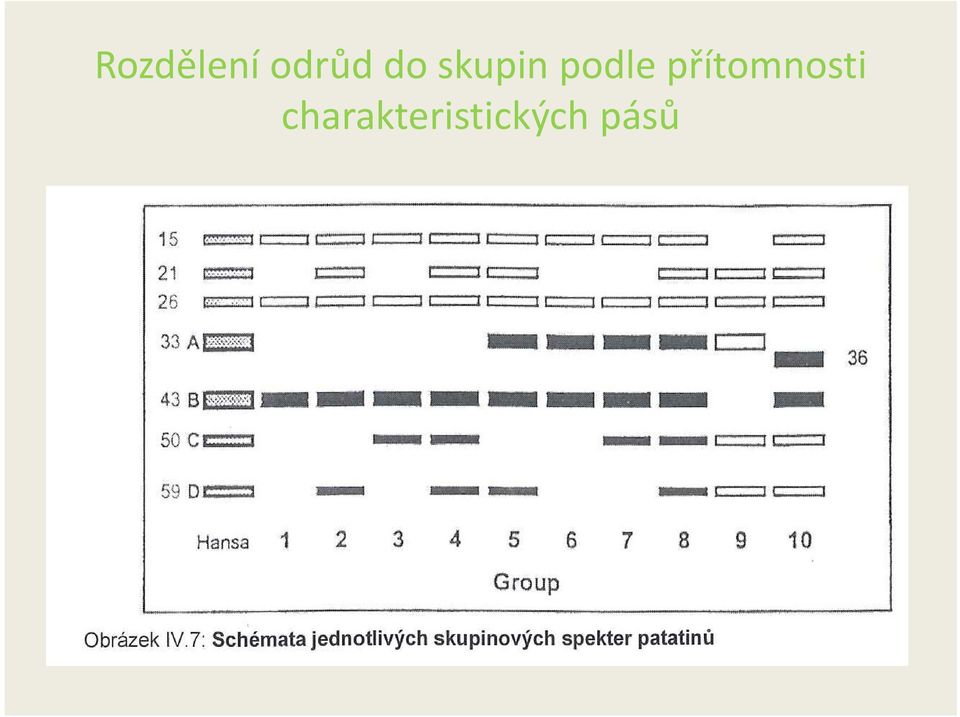 přítomnosti