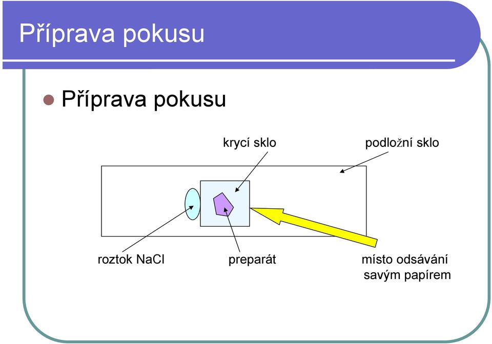 sklo roztok NaCl preparát