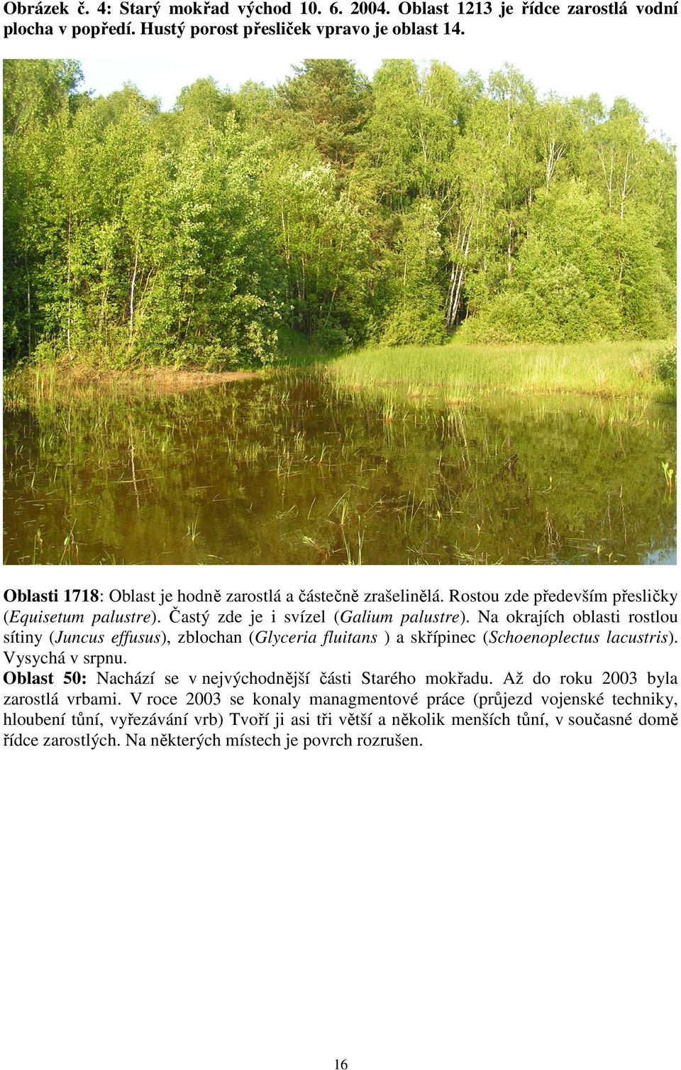 Na okrajích oblasti rostlou sítiny (Juncus effusus), zblochan (Glyceria fluitans ) a skřípinec (Schoenoplectus lacustris). Vysychá v srpnu.