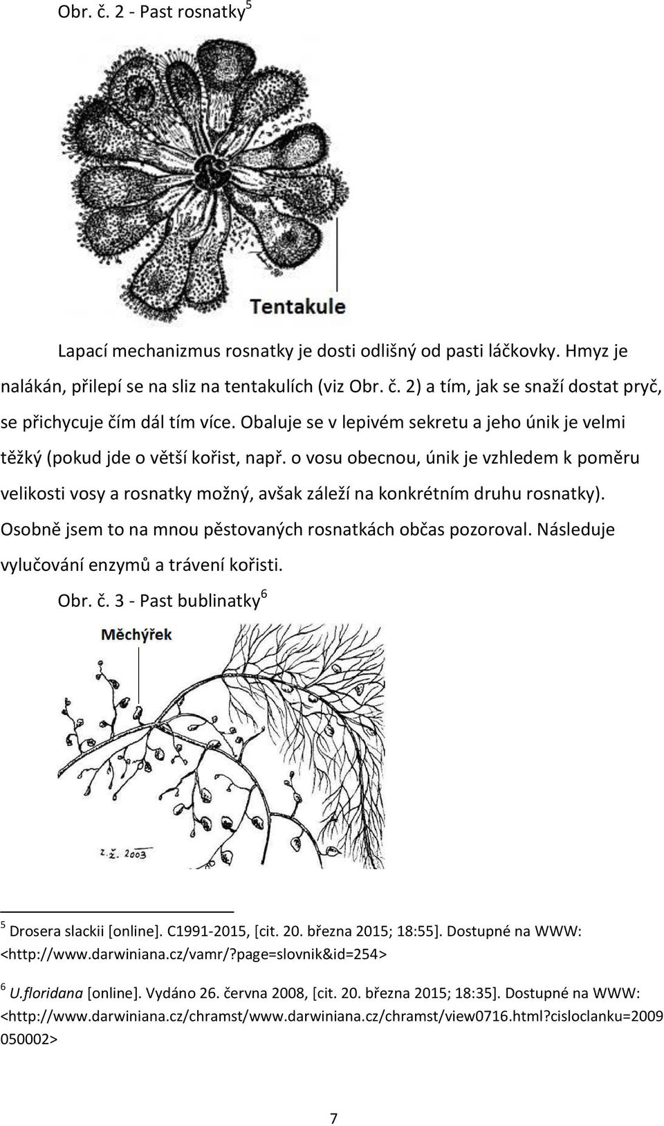 o vosu obecnou, únik je vzhledem k poměru velikosti vosy a rosnatky možný, avšak záleží na konkrétním druhu rosnatky). Osobně jsem to na mnou pěstovaných rosnatkách občas pozoroval.