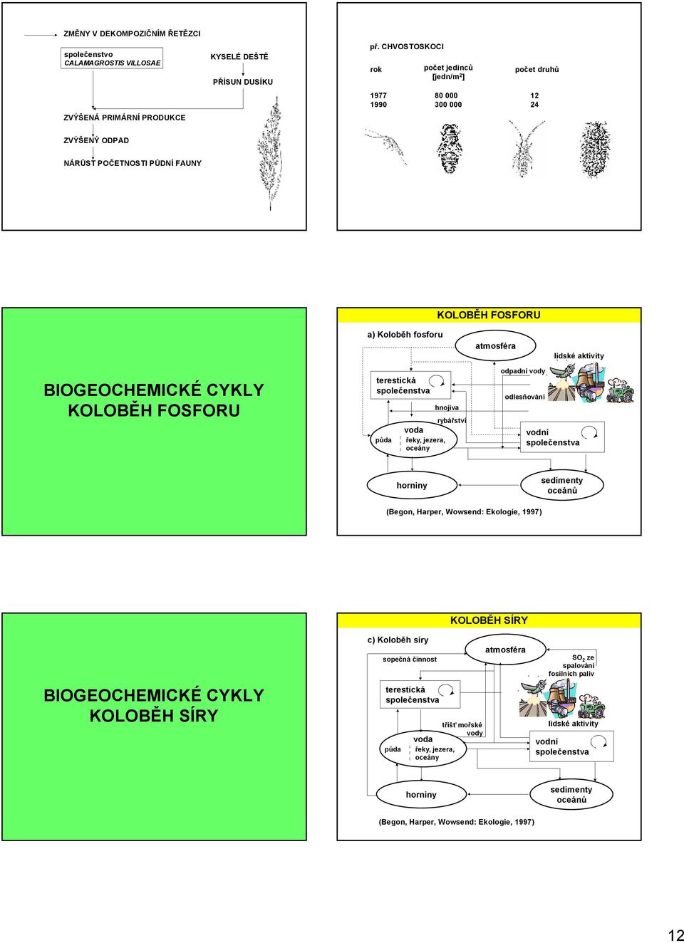 atmosféra lidské aktivity BIOGEOCHEMICKÉ CYKLY KOLOBĚH FOSFORU terestická půda hnojiva rybářství voda řeky, jezera, oceány odpadnívody odlesňování vodní horniny sedimenty oceánů (Begon, Harper,