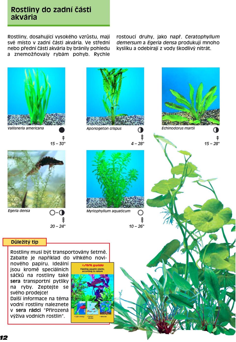 Vallisneria americana Aponogeton crispus Echinodorus martii 15 30 4 28 15 28 Egeria densa Myriophyllum aquaticum 20 24 10 26 D leûit tip Rostliny musí b t transportovány öetrnï.