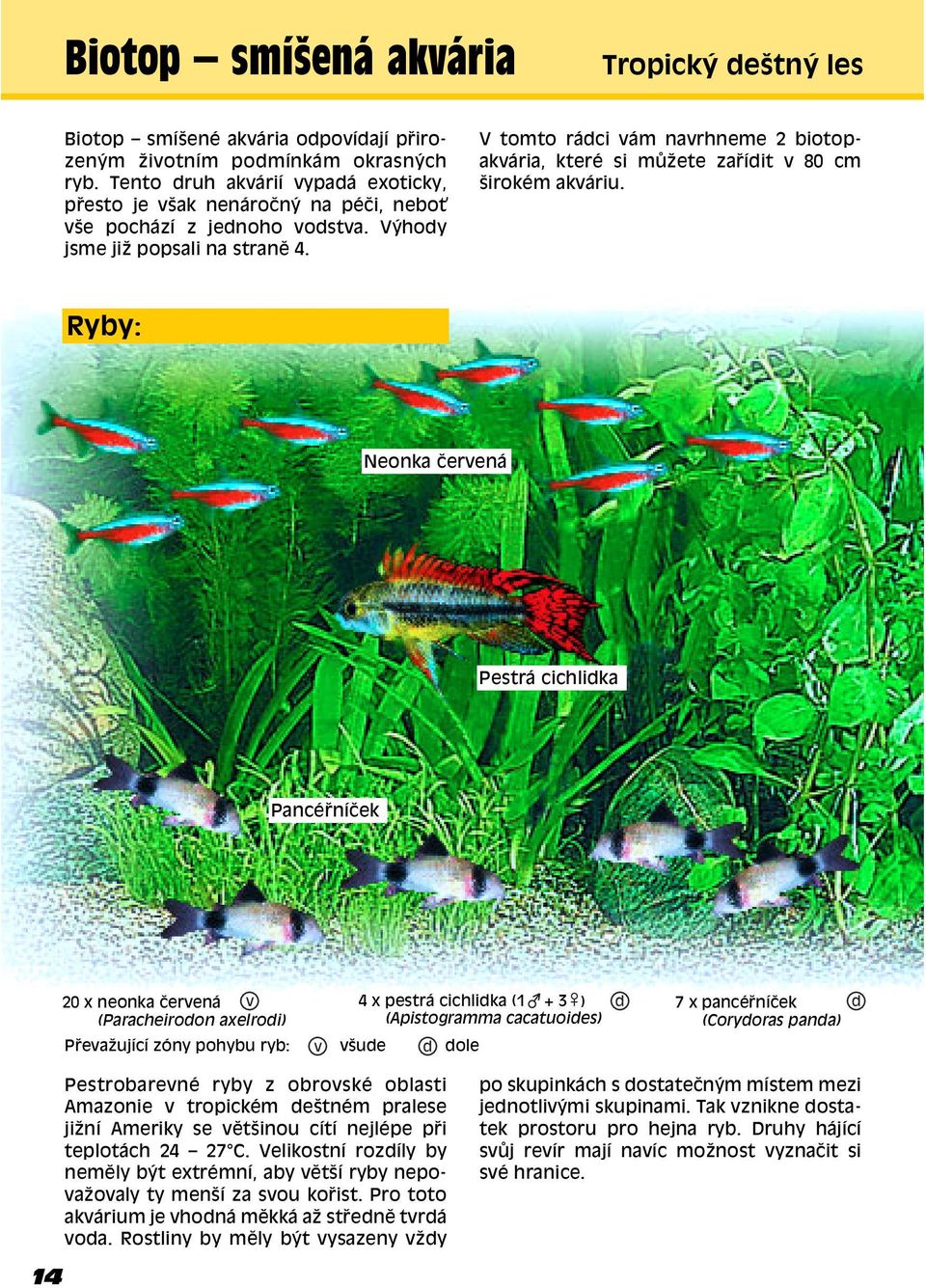 V tomto rádci vám navrhneme 2 biotopakvária, kterè si m ûete za ídit v 80 cm öirokèm akváriu.