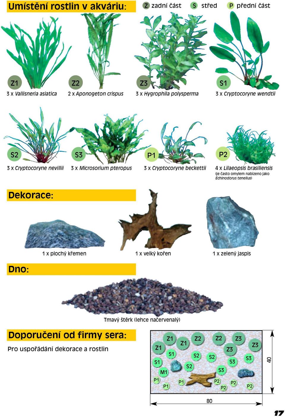 brasiliensis (je Ëasto omylem nabízeno jako Echinodorus tenellus) Dekorace: 1 x ploch k emen 1 x velk ko en 1 x zelen jaspis Dno: Tmav ötïrk