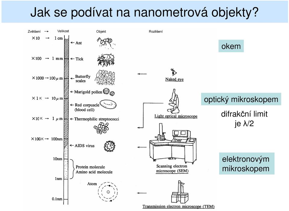 okem optický mikroskopem