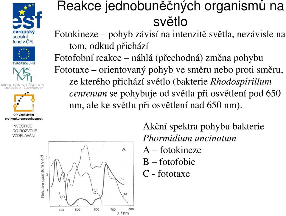 kterého přichází světlo (bakterie Rhodospirillum centenum se pohybuje od světla při osvětlení pod 650 nm, ale ke