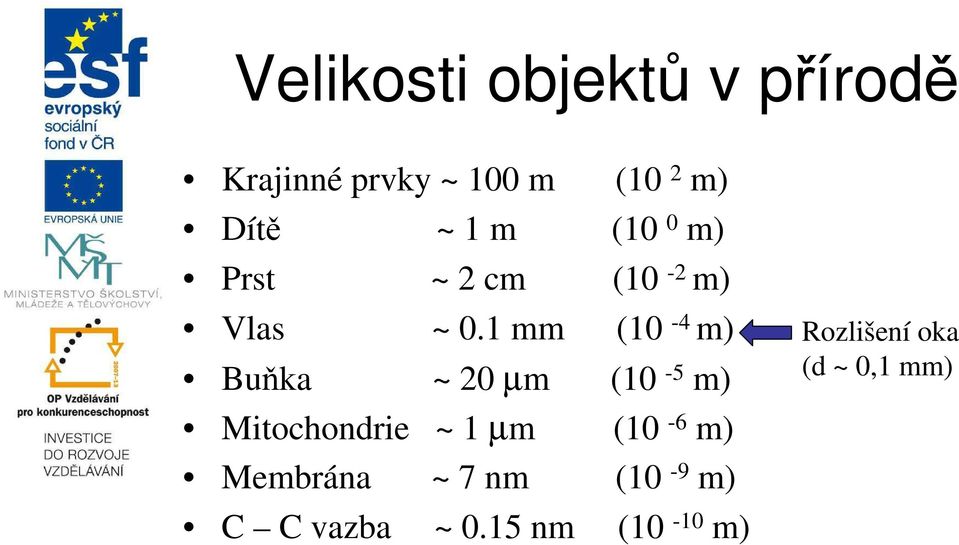 1 mm (10-4 m) Buňka ~ 20 µm (10-5 m) Mitochondrie ~ 1 µm (10-6