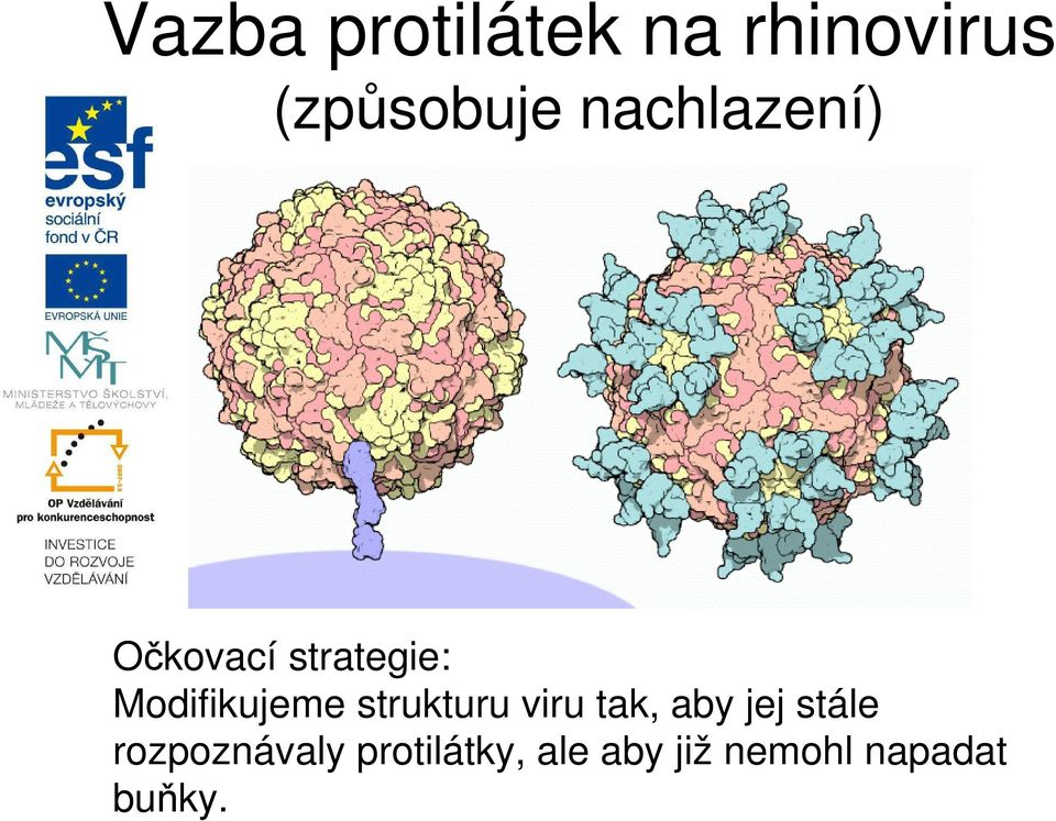 strukturu viru tak, aby jej stále