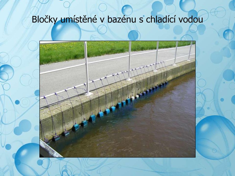 bazénu s