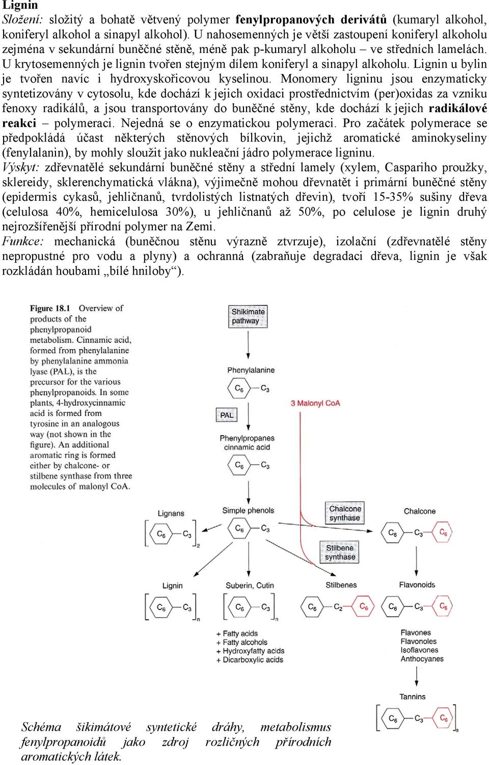 U krytosemenných je lignin tvořen stejným dílem koniferyl a sinapyl alkoholu. Lignin u bylin je tvořen navíc i hydroxyskořicovou kyselinou.