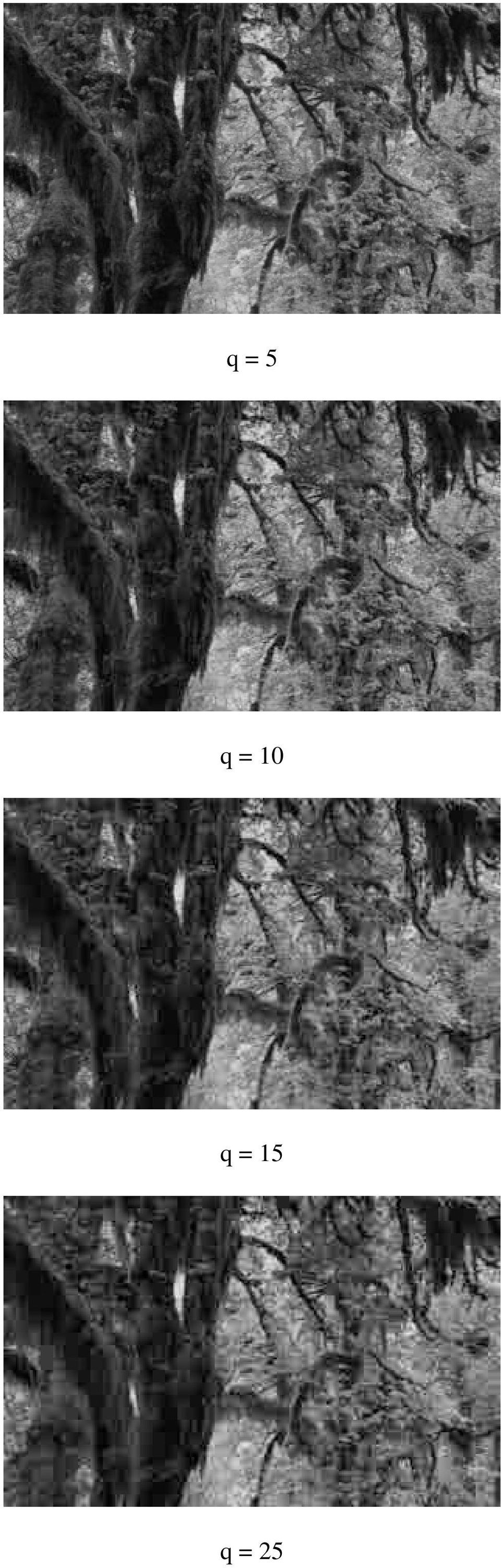 q = 25