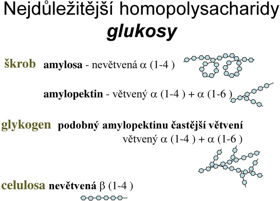 (1-4 ) + (1-6 ) glykogen podobný amylopektinu