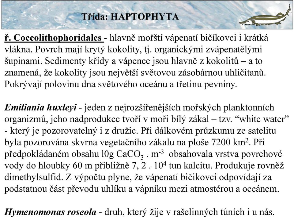 Pokrývají polovinu dna světového oceánu a třetinu pevniny. Emiliania huxleyi - jeden z nejrozšířenějších mořských planktonních organizmů, jeho nadprodukce tvoří v moři bílý zákal tzv.