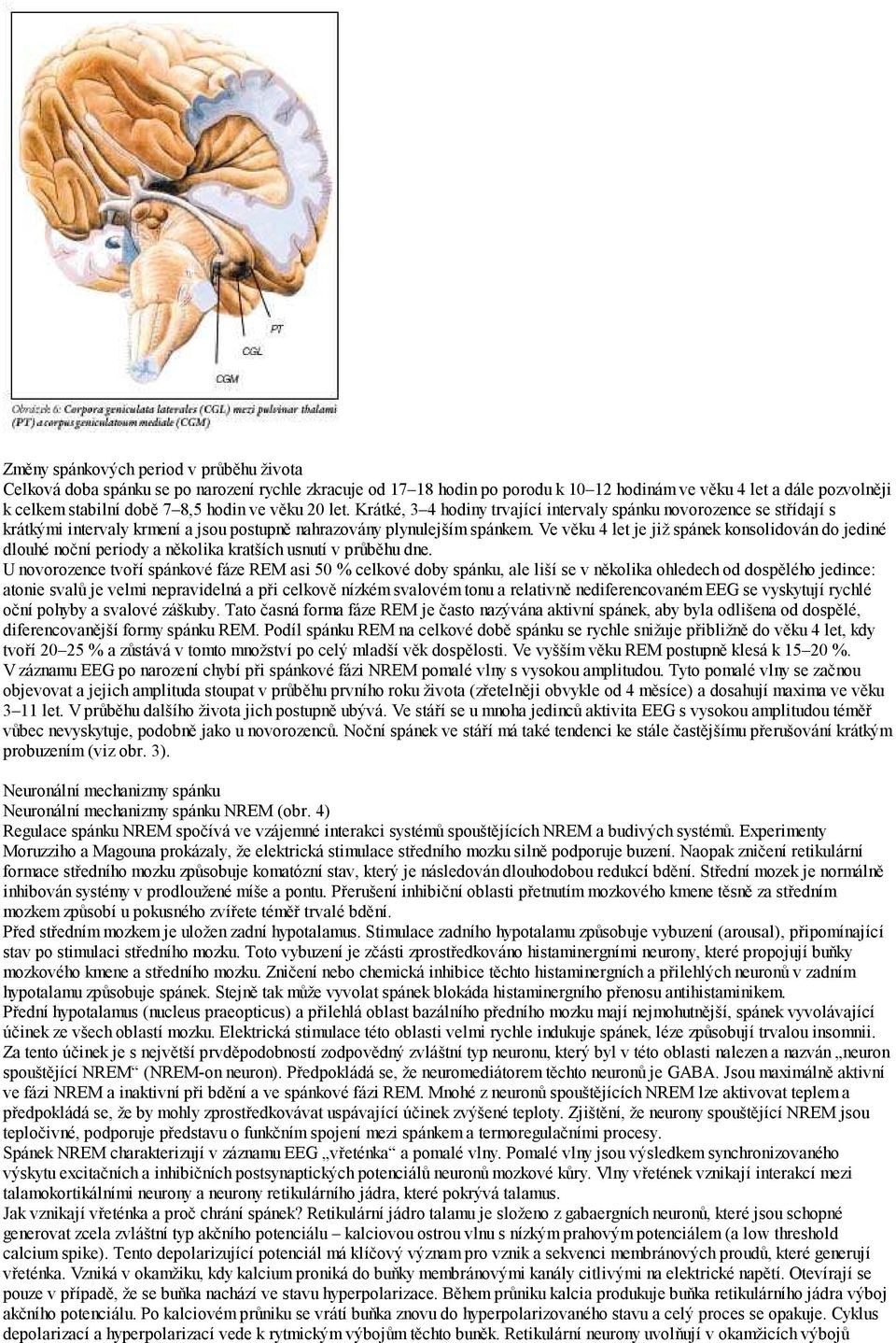 Ve věku 4 let je již spánek konsolidován do jediné dlouhé noční periody a několika kratších usnutí v průběhu dne.