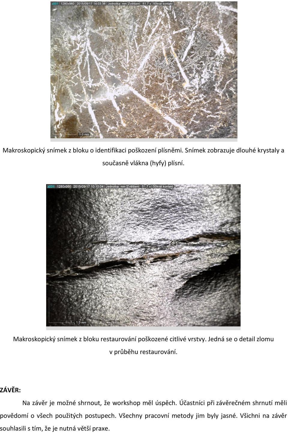 Makroskopický snímek z bloku restaurování poškozené citlivé vrstvy. Jedná se o detail zlomu v průběhu restaurování.