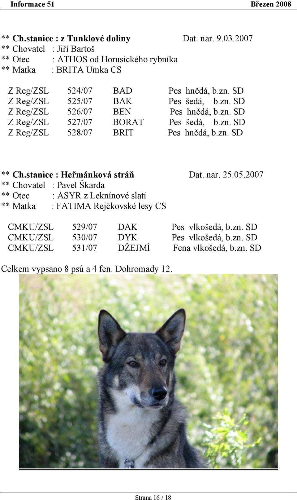 zn. SD Z Reg/ZSL 527/07 BORAT Pes šedá, b.zn. SD Z Reg/ZSL 528/07 BRIT Pes hnědá, b.zn. SD ** Ch.stanice : Heřmánková stráň Dat. nar. 25.05.