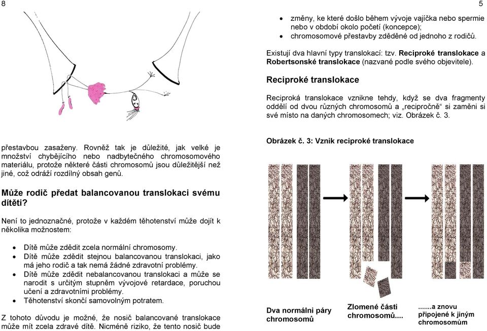 Reciproké translokace Reciproká translokace vznikne tehdy, když se dva fragmenty oddělí od dvou různých chromosomů a recipročně si zaměni si své místo na daných chromosomech; viz. Obrázek č. 3.