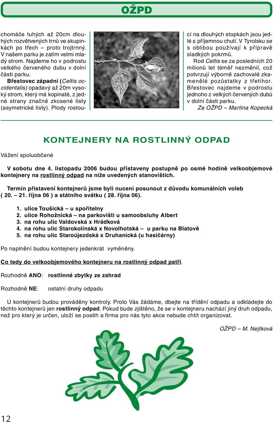 Břestovec západní (Celtis occidentalis) opadavý až 20m vysoký strom, který má kopinaté, z jedné strany značně zkosené listy (asymetrické listy).