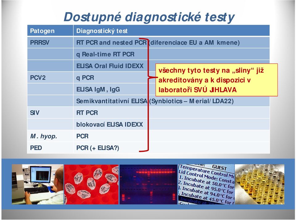 Semikvantitativní ELISA (Synbiotics Merial/LDA22) RT PCR M. hyop.