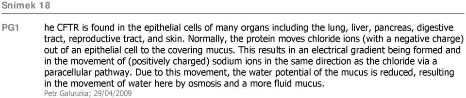 This results in an electrical gradient being formed and in the movement of (positively charged) sodium ions in the same direction as the chloride via a