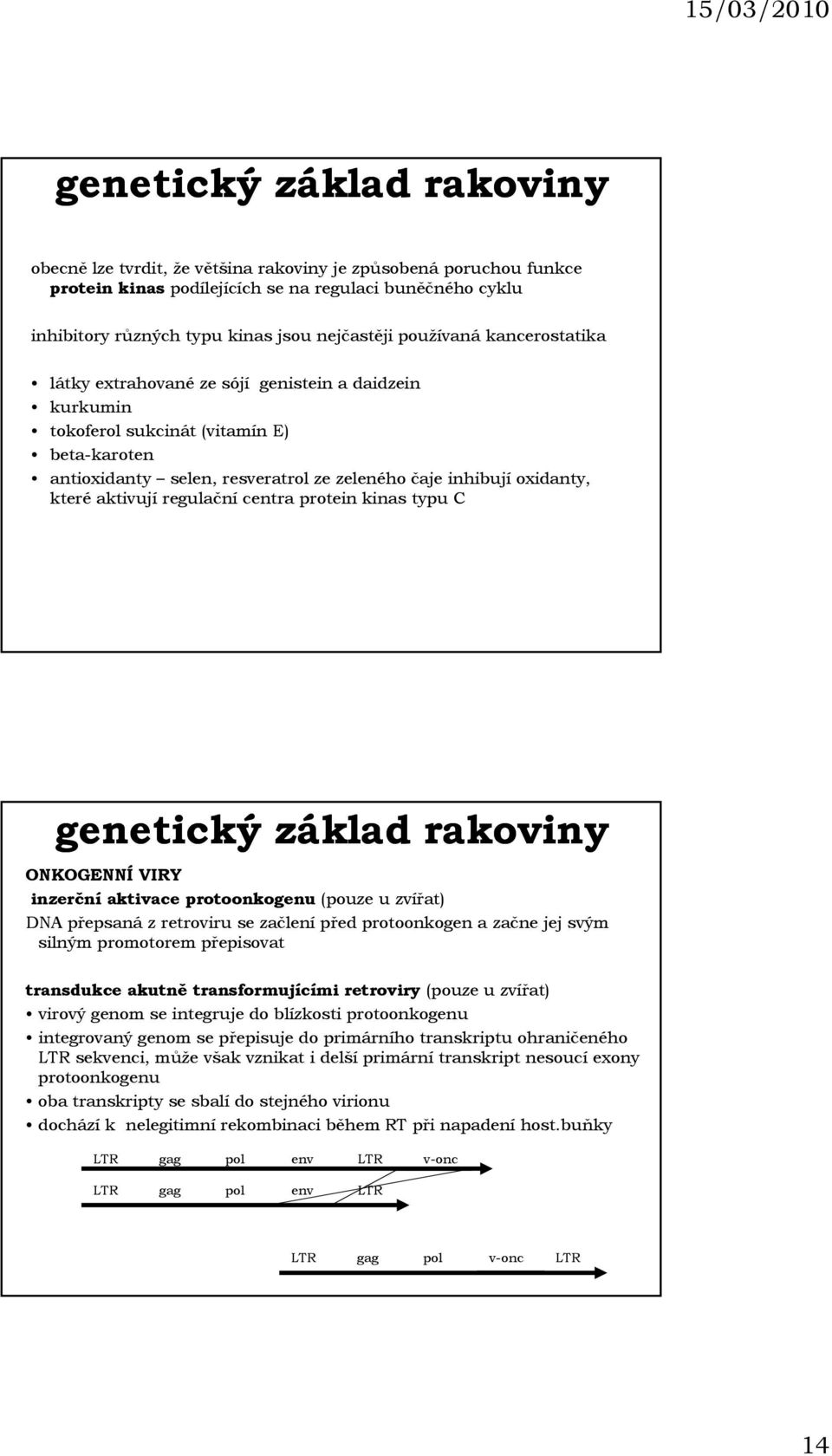 které aktivují regulační centra protein kinas typu C genetický základ rakoviny ONKOGENNÍ VIRY inzerční aktivace protoonkogenu (pouze u zvířat) DNA přepsaná z retroviru se začlení před protoonkogen a