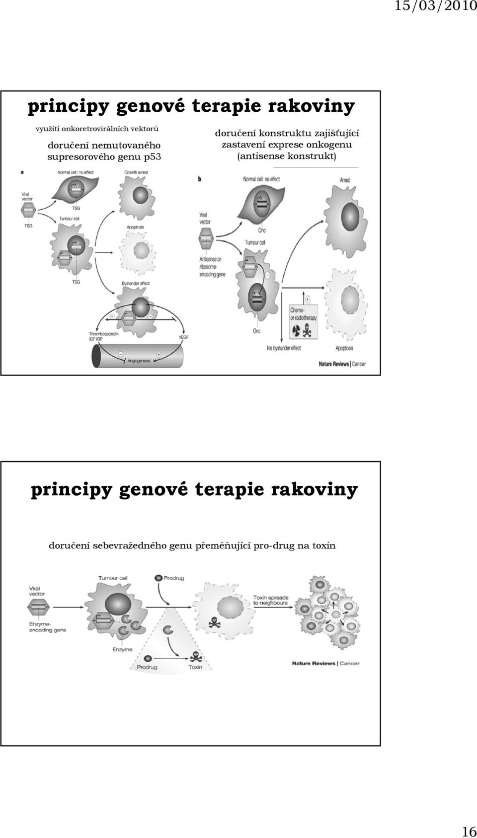 zajišťující zastavení exprese onkogenu (antisense konstrukt) principy