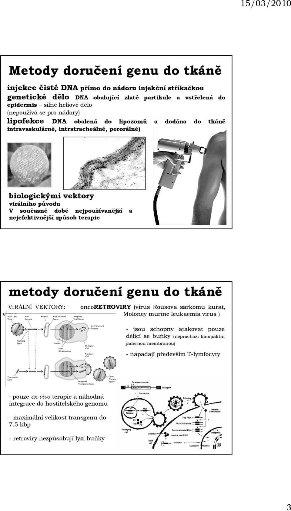 metody doručení genu do tkáně VIRÁLNÍ VEKTORY: oncoretroviry (virus Rousova sarkomu kuřat, virus, Moloney murine leukaemia virus ) - jsou schopny atakovat pouze dělící se buňky (neprochází kompaktní