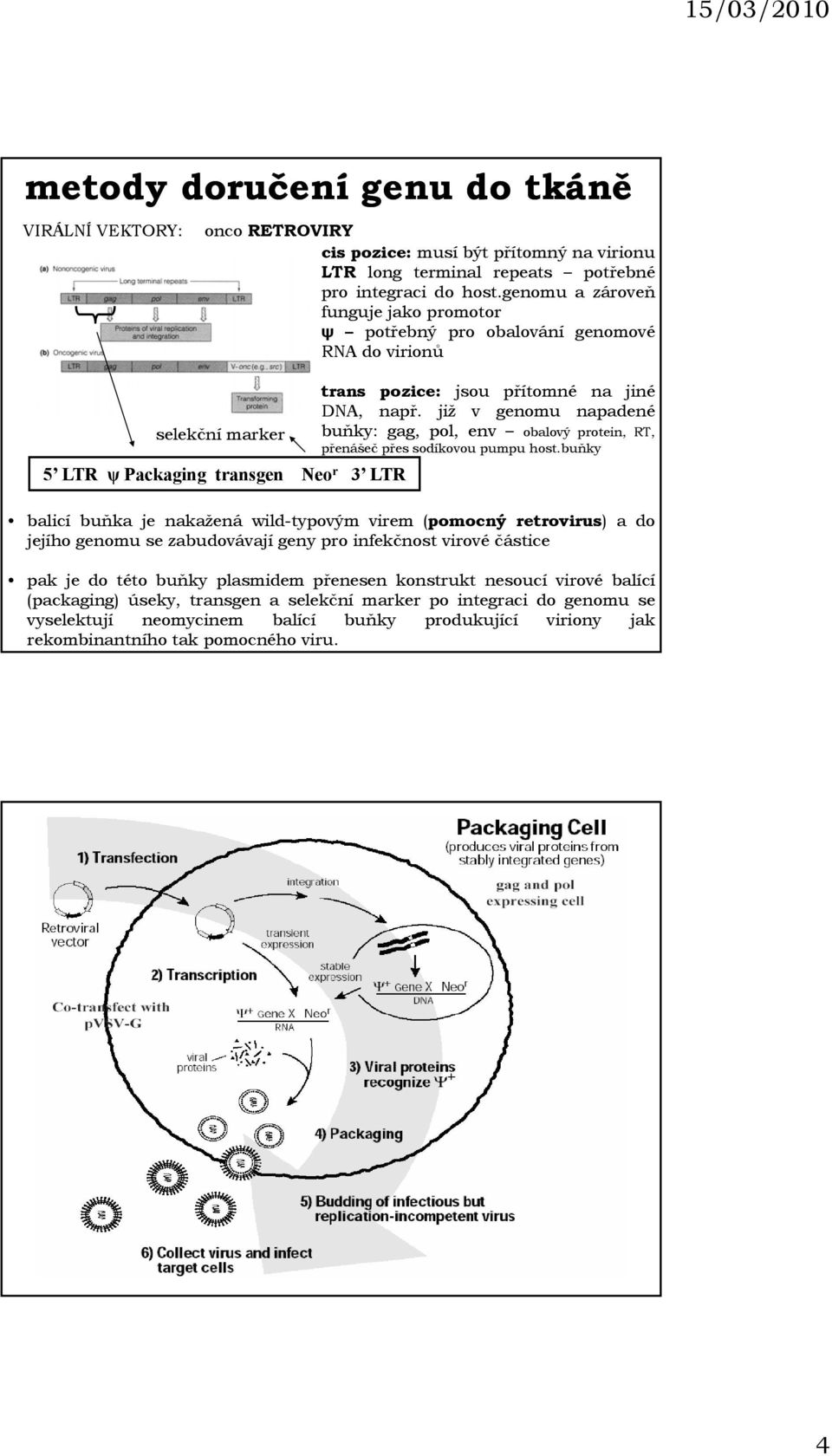 již v genomu napadené selekční marker buňky: gag, pol, env obalový protein, RT, přenášeč přes sodíkovou pumpu host.