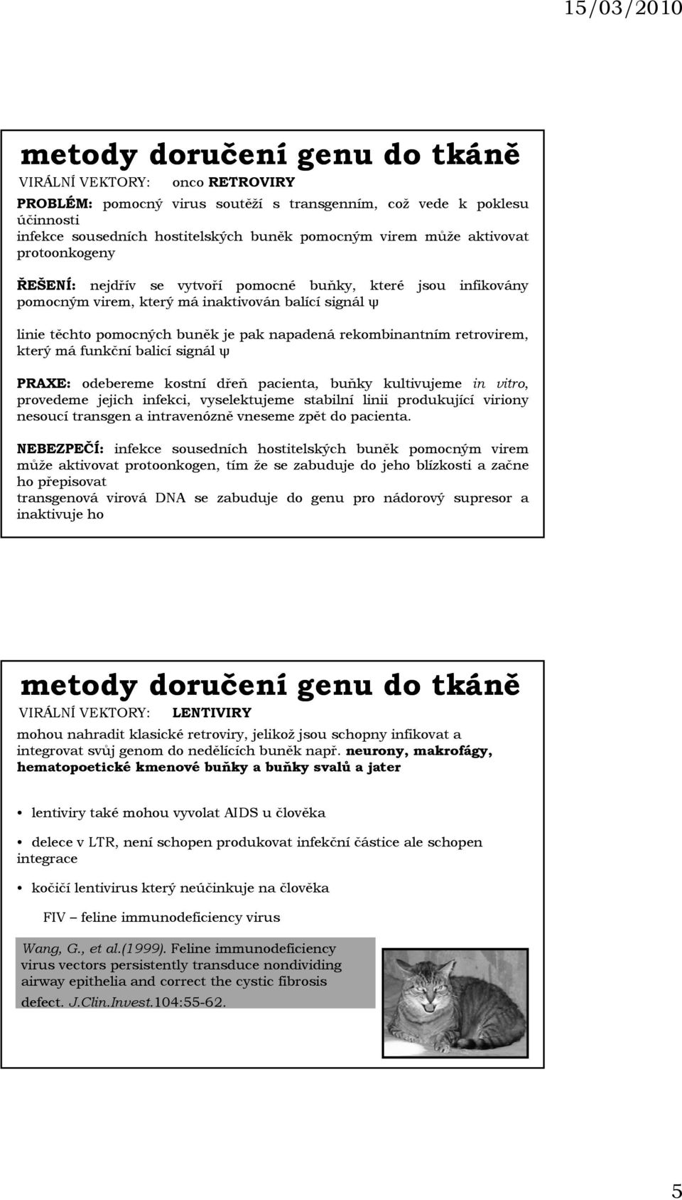 rekombinantním retrovirem, který má funkční balicí signál ψ PRAXE: odebereme kostní dřeň pacienta, buňky kultivujeme in vitro, provedeme jejich infekci, vyselektujeme stabilní linii produkující