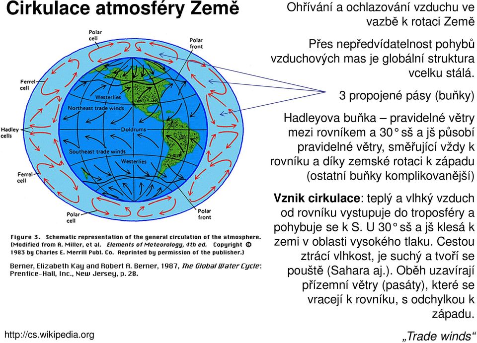 (ostatní buňky komplikovanější) Vznik cirkulace: teplý a vlhký vzduch od rovníku vystupuje do troposféry a pohybuje se k S.